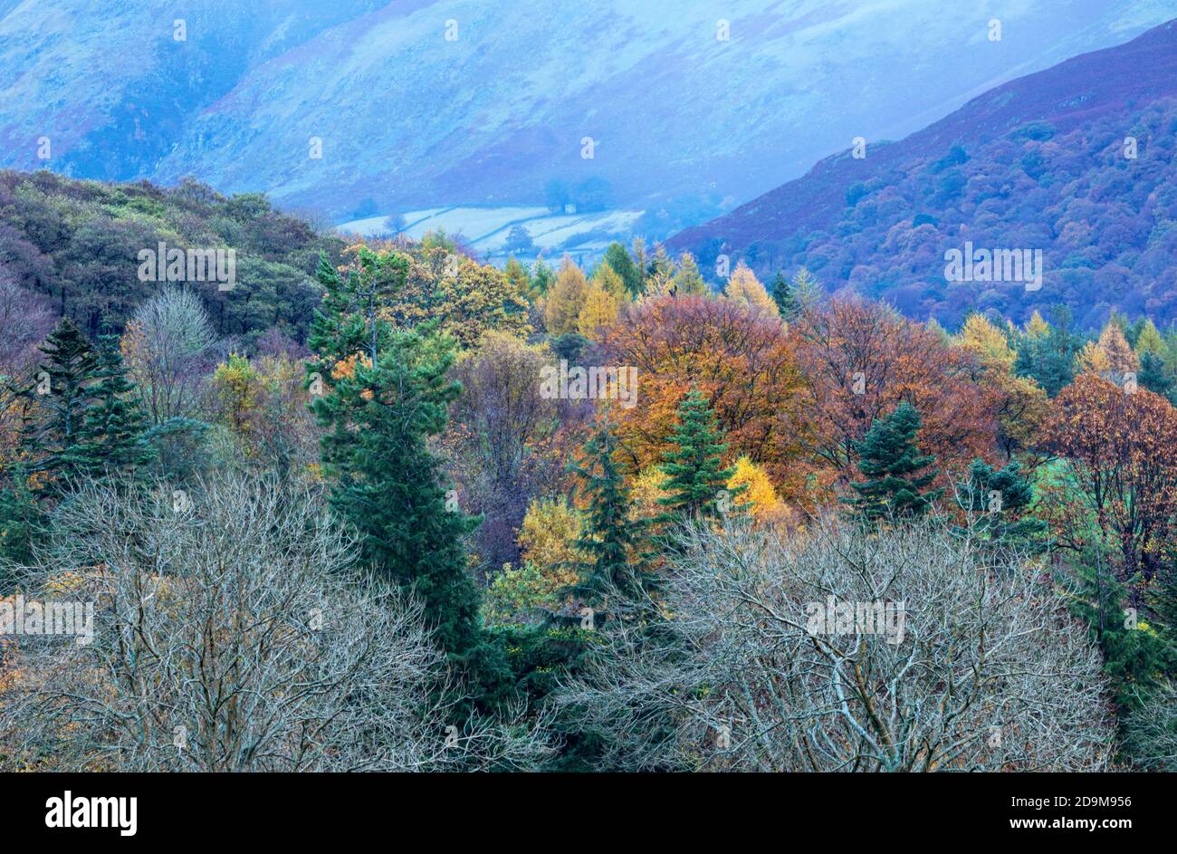 Autumn colours at Ullswater Stock Photo