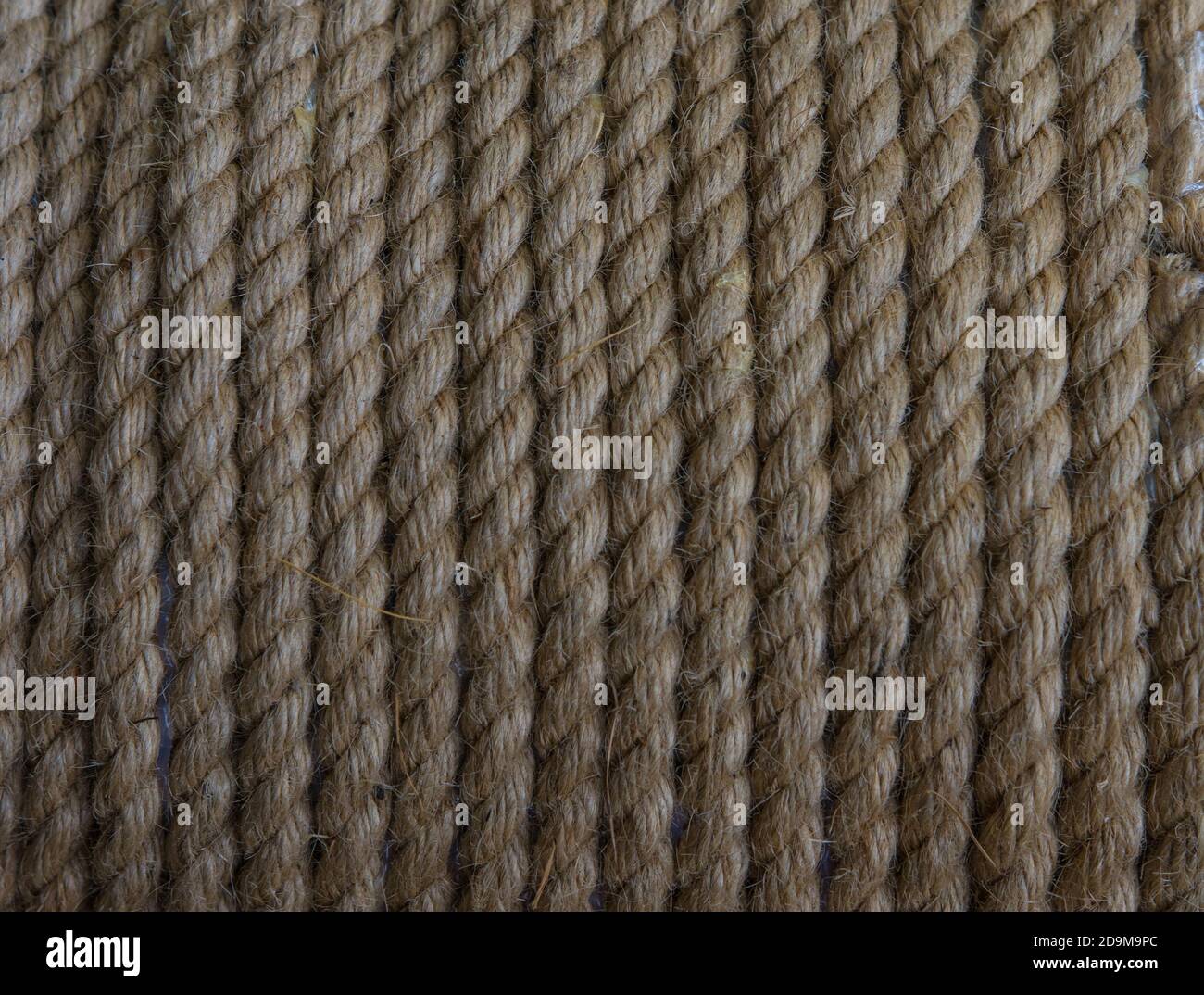 Yellow rope wound in a skein. Light yellow rope wound in a skein Stock