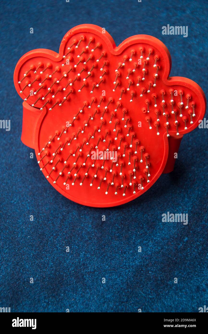 Dog paw print brush on a blue table in a veterinary Stock Photo Alamy