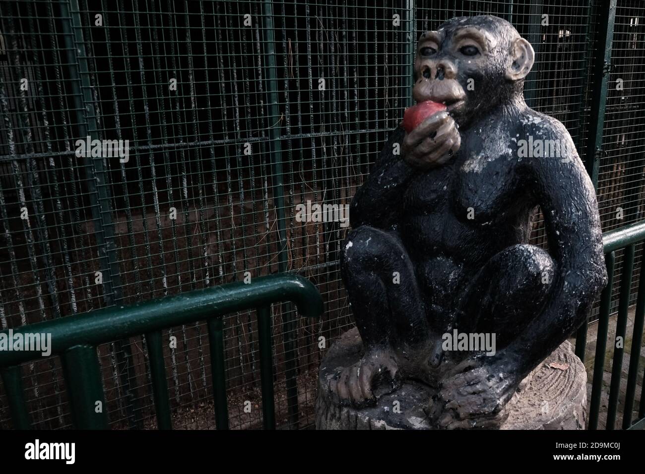 Fun statue of black chimpanzee near monkey cages in a zoo. Stone ape sitting on a stump eating red apple and welcoming tourists and visitors Stock Photo