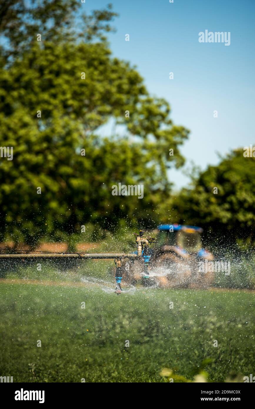 Tractor irrigating field Stock Photo