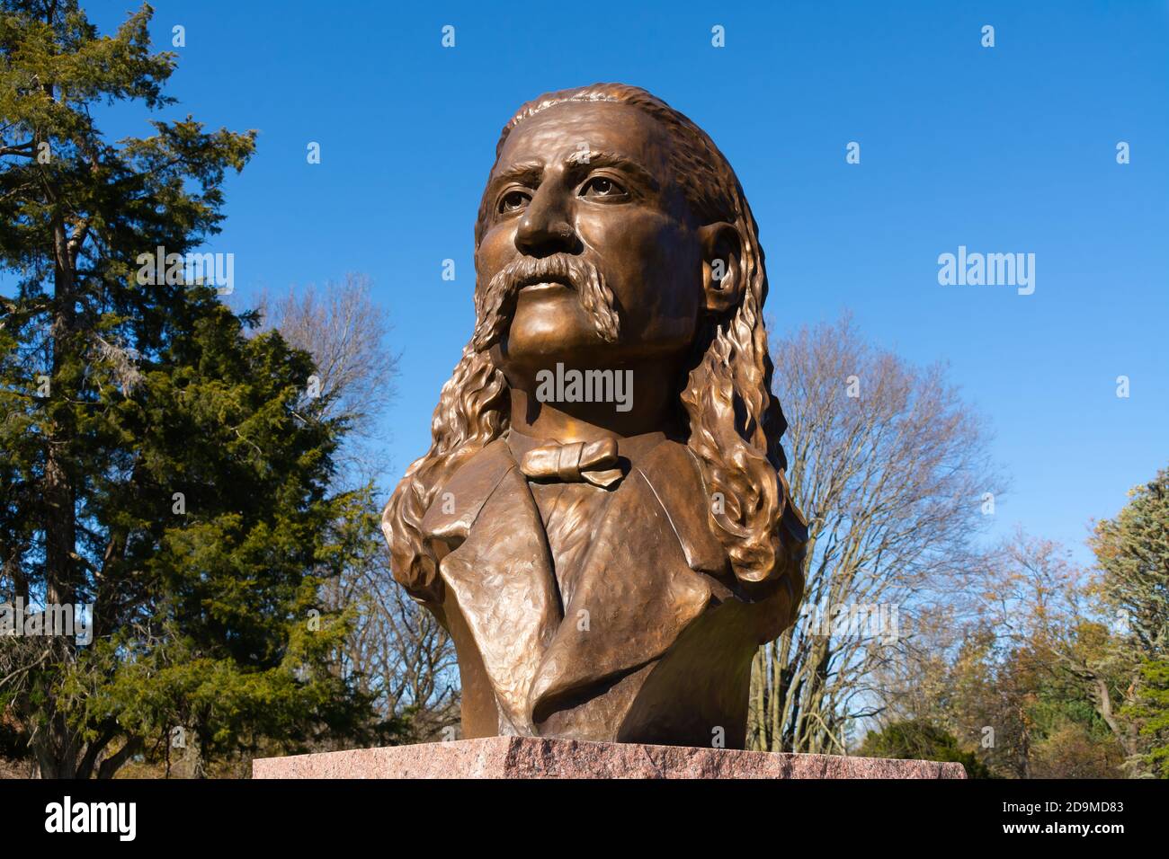 Troy Grove, Illinois / United States November 4th, 2020 Bust of Wild