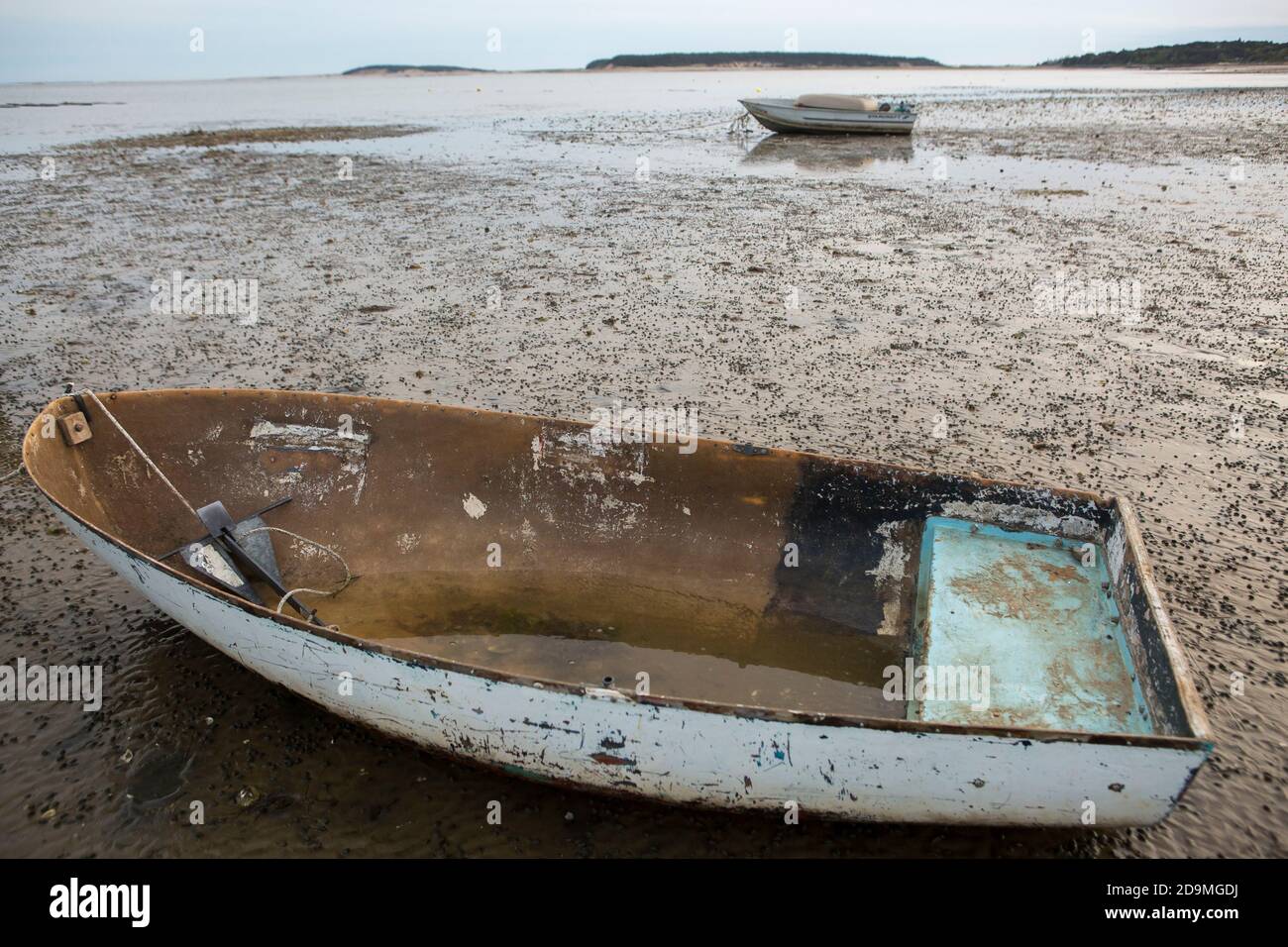 Wellfleet boats hires stock photography and images Alamy