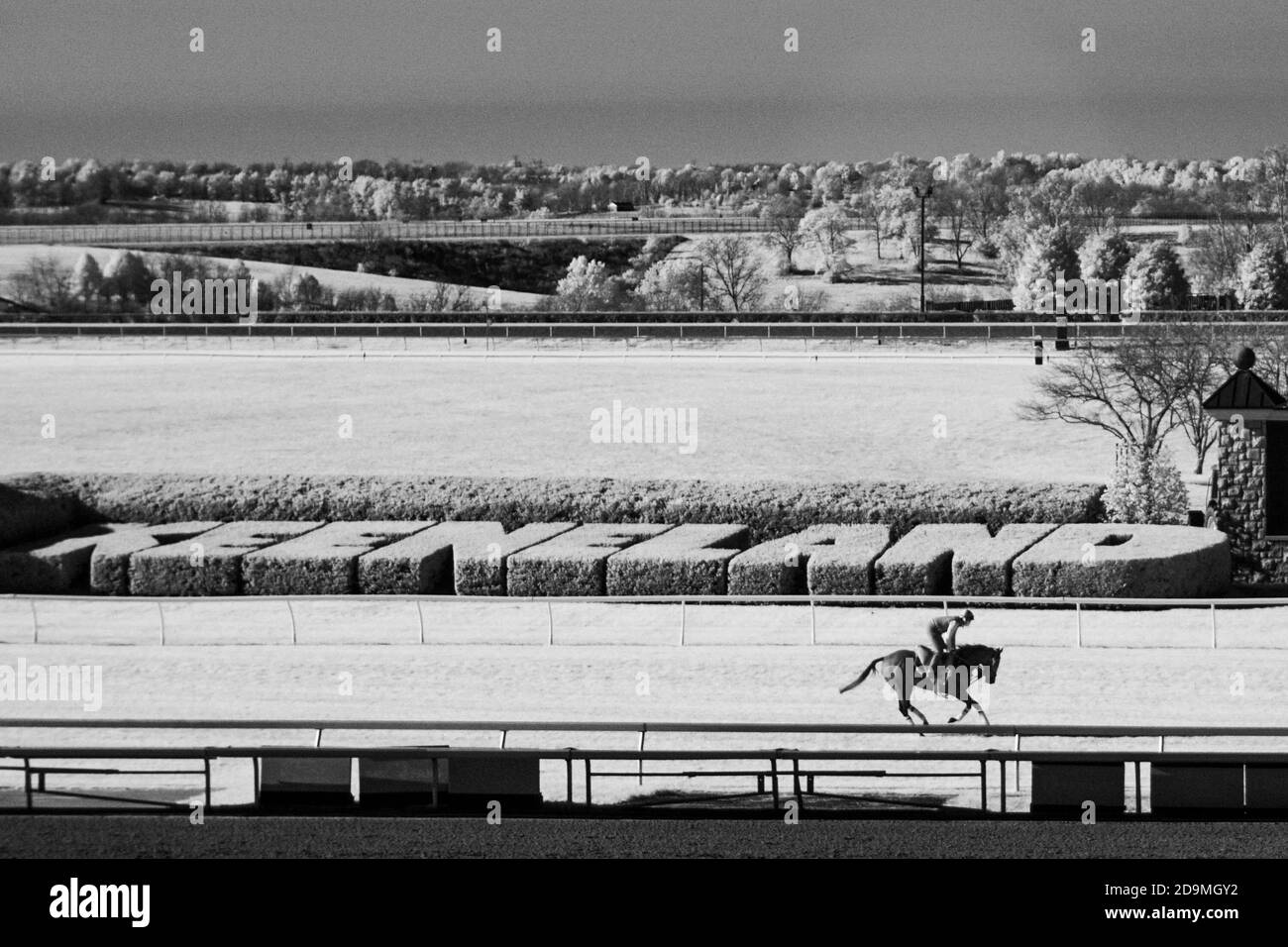 Horse race tips for tomorrow
