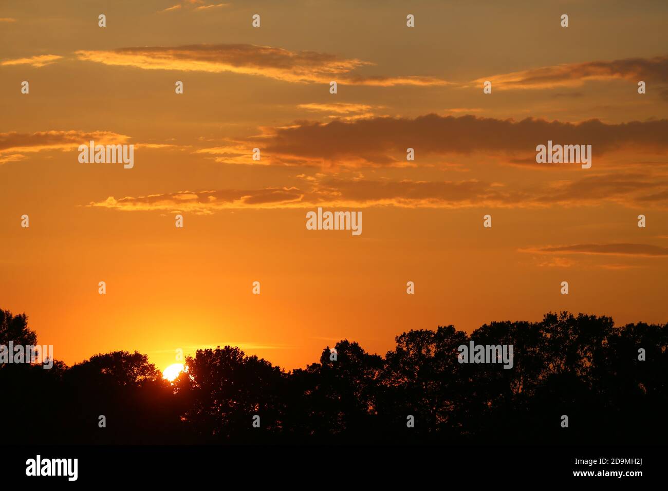 Light orange colors hi-res stock photography and images - Alamy