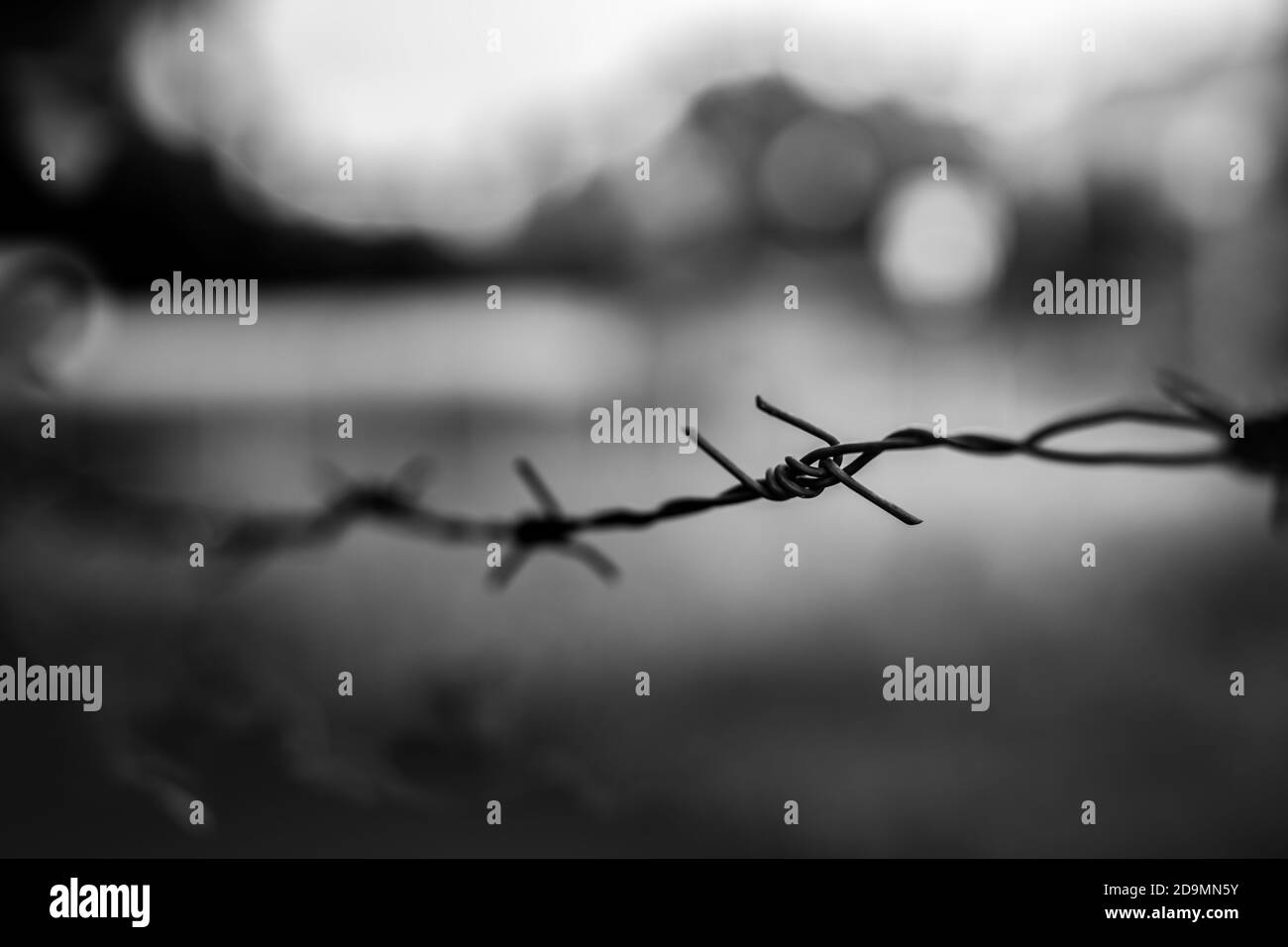 Dramatic black and white of barb wire fence Stock Photo - Alamy