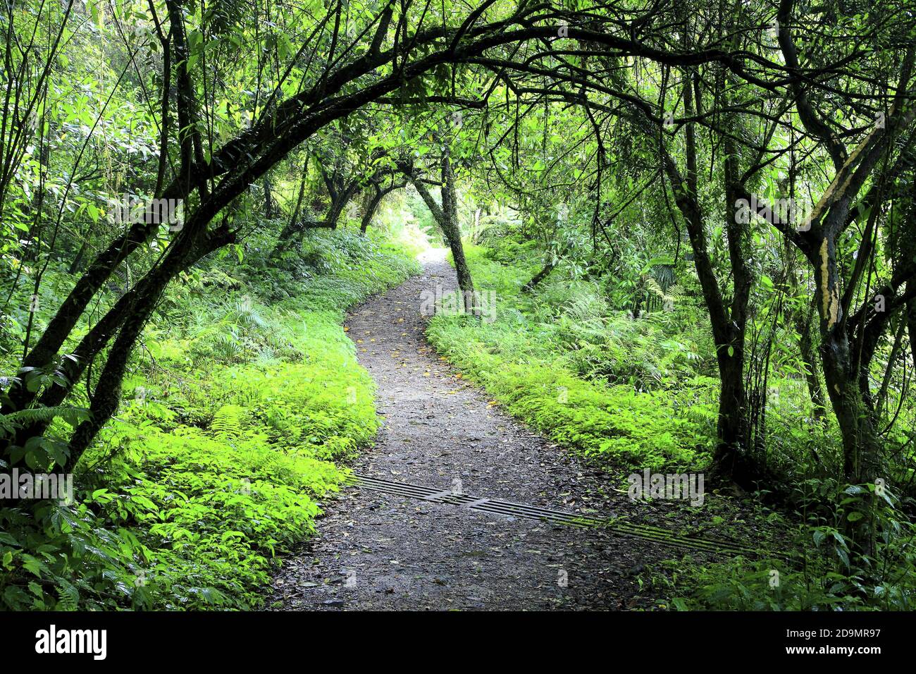 beauty of Yilan Taiwan Stock Photo Alamy