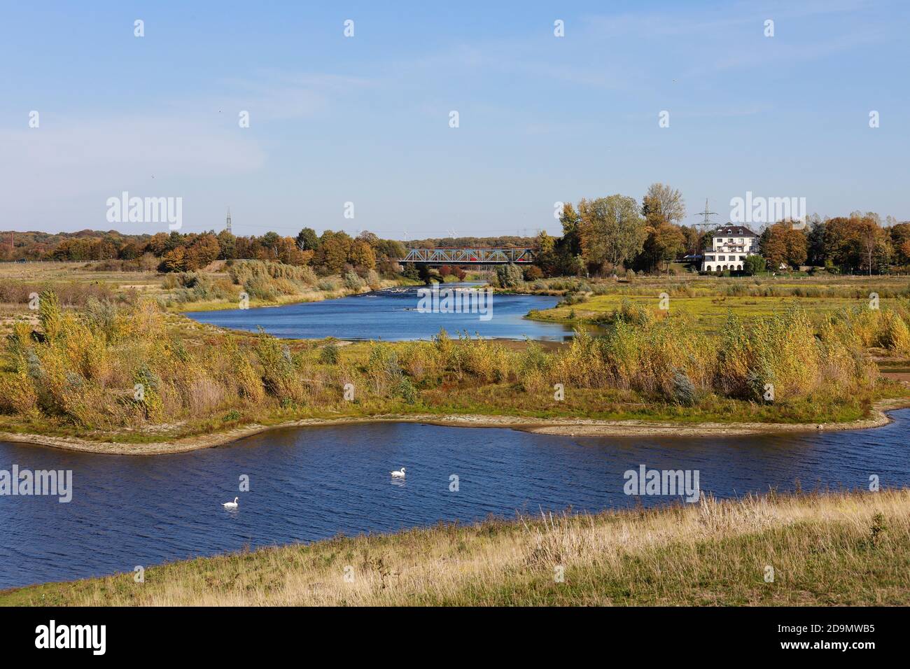 Wesel, North Rhine-Westphalia, Lower Rhine, Germany, Lippe, view upstream of the renatured floodplain area above the mouth of the Lippe into the Rhine. Stock Photo