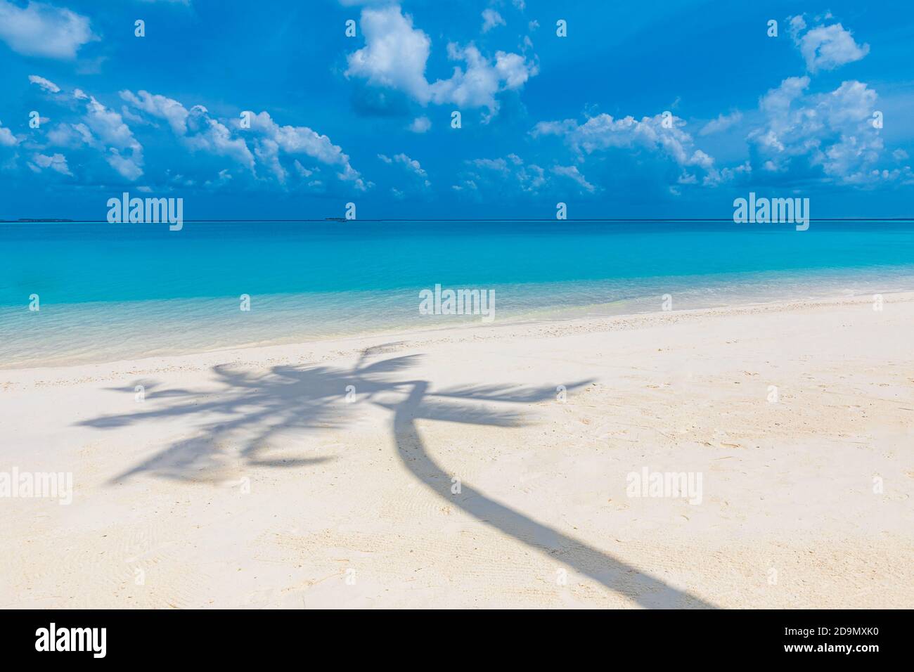 Artistic tropical beach landscape, palm tree leaves shadow. Amazing seascape, exotic nature pattern. Abstract paradise island coast, sunny weather Stock Photo