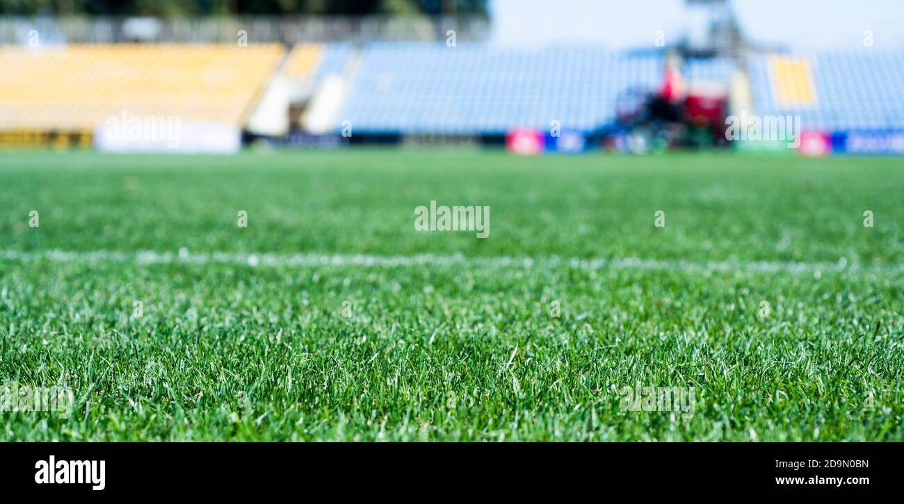 green grass on outdoor stadium, selective focus. sport and games. healthy lifestyle. playing