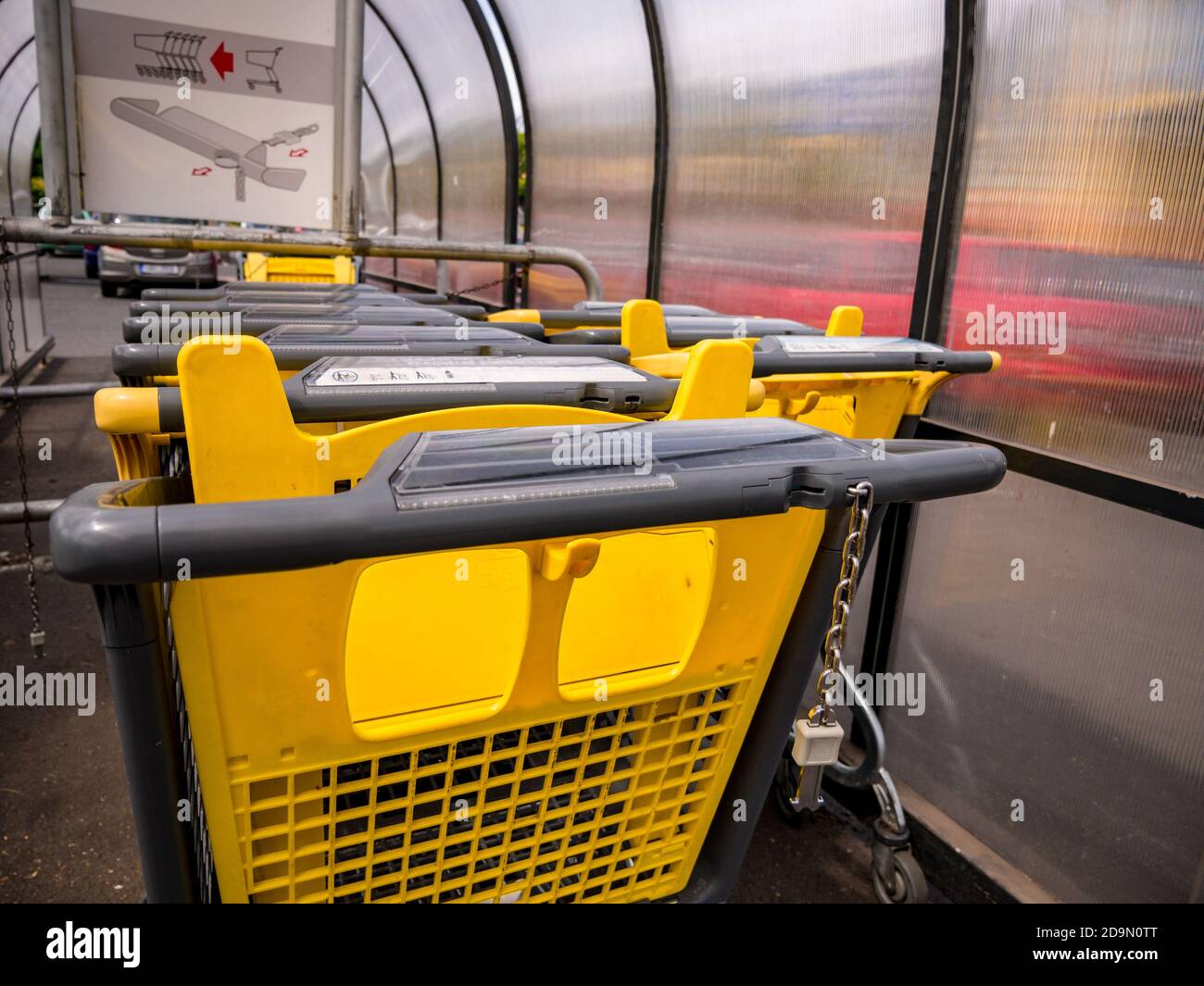 Row of yellow shopping carts at the supermarket Stock Photo Alamy