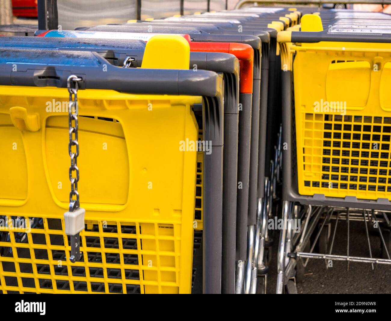 Row of yellow and one red shopping carts at the supermarket Stock Photo Alamy