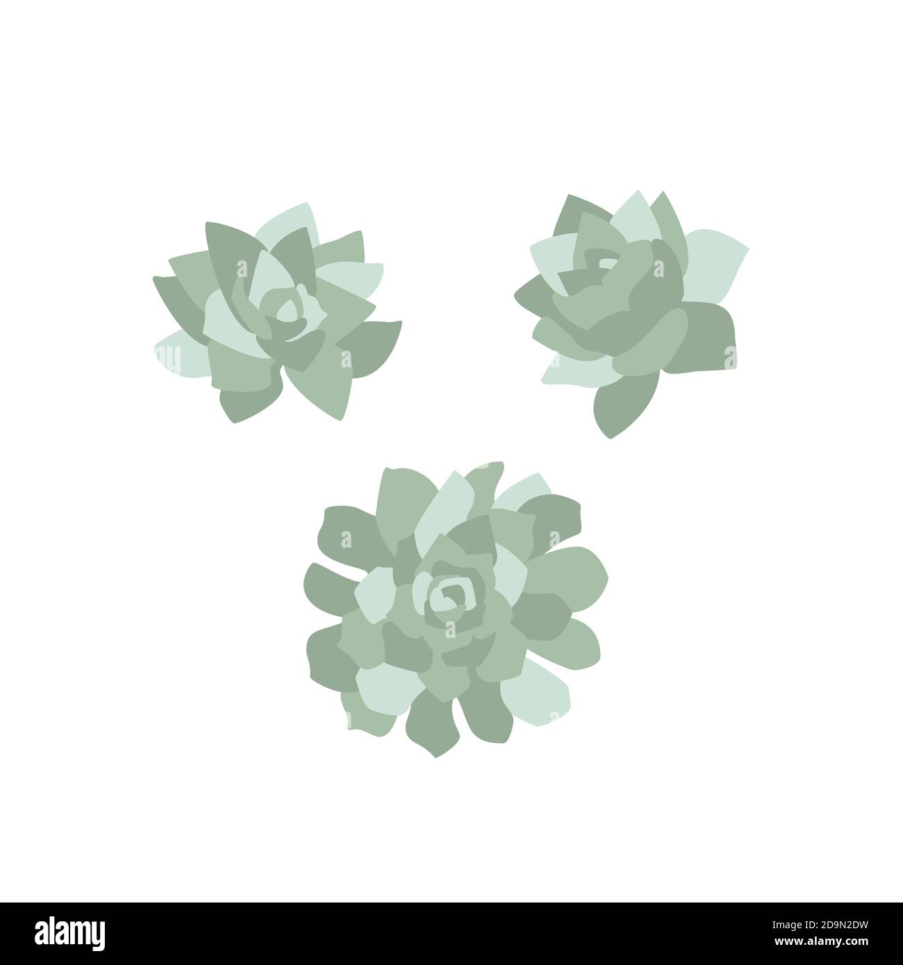Elegant minimalistic hand drawn pastel succulent plants clipart set.  Isolated on white background Stock Vector Image & Art - Alamy