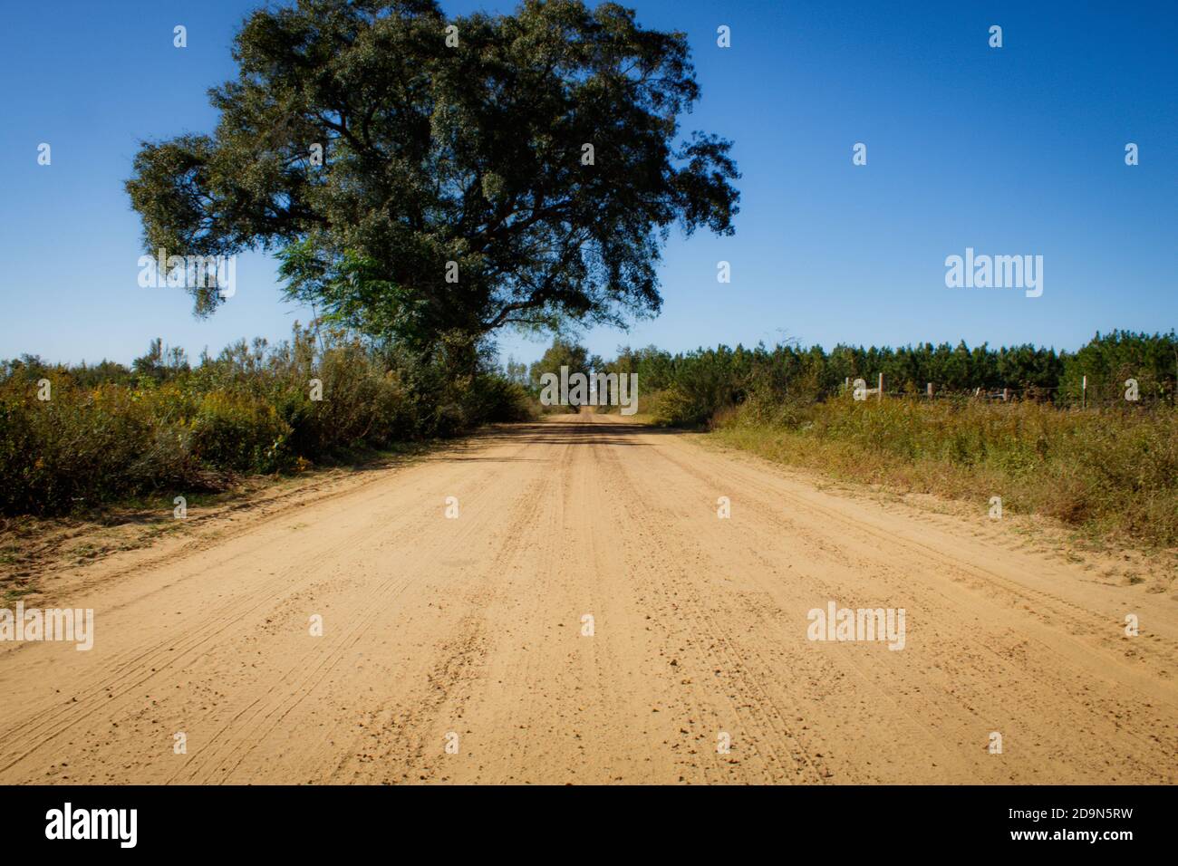 MONTROSE, UNITED STATES - Nov 04, 2020: A rarely used, dirt road in rural United States. This specific road is hugged by farmland and dense forests. Stock Photo
