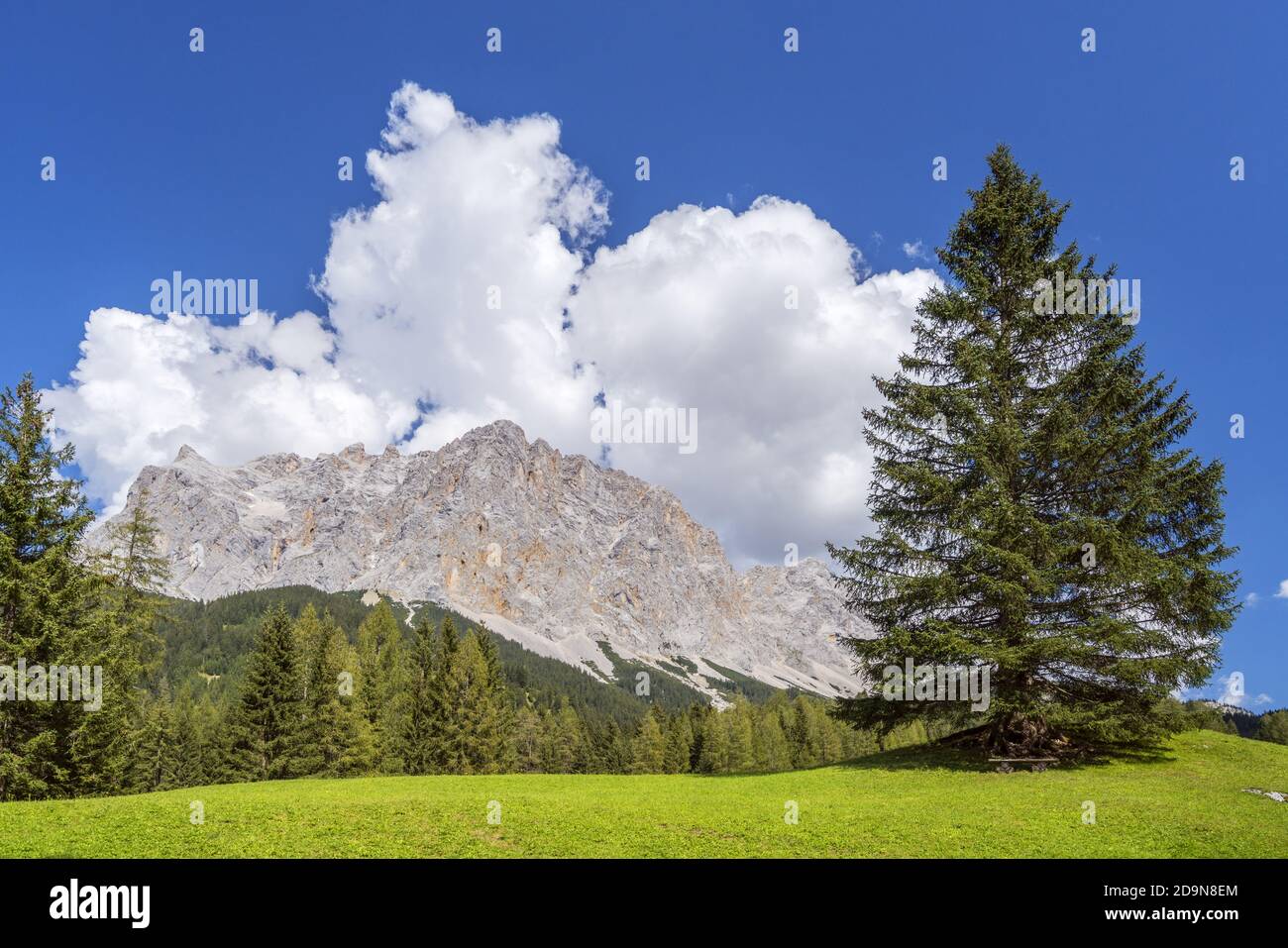 View from the Ehrwalder Alm to the Zugspitze (2,962 m) in the Wetterstein Mountains, Ehrwald, Tyrol, Austria Stock Photo
