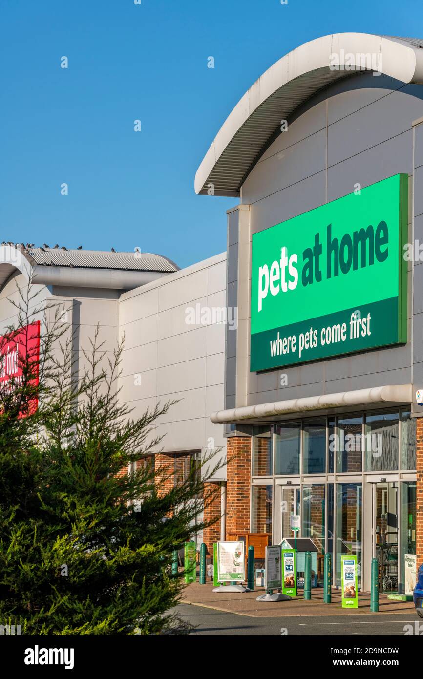 a large pets at home store at an out of town retail park Stock Photo