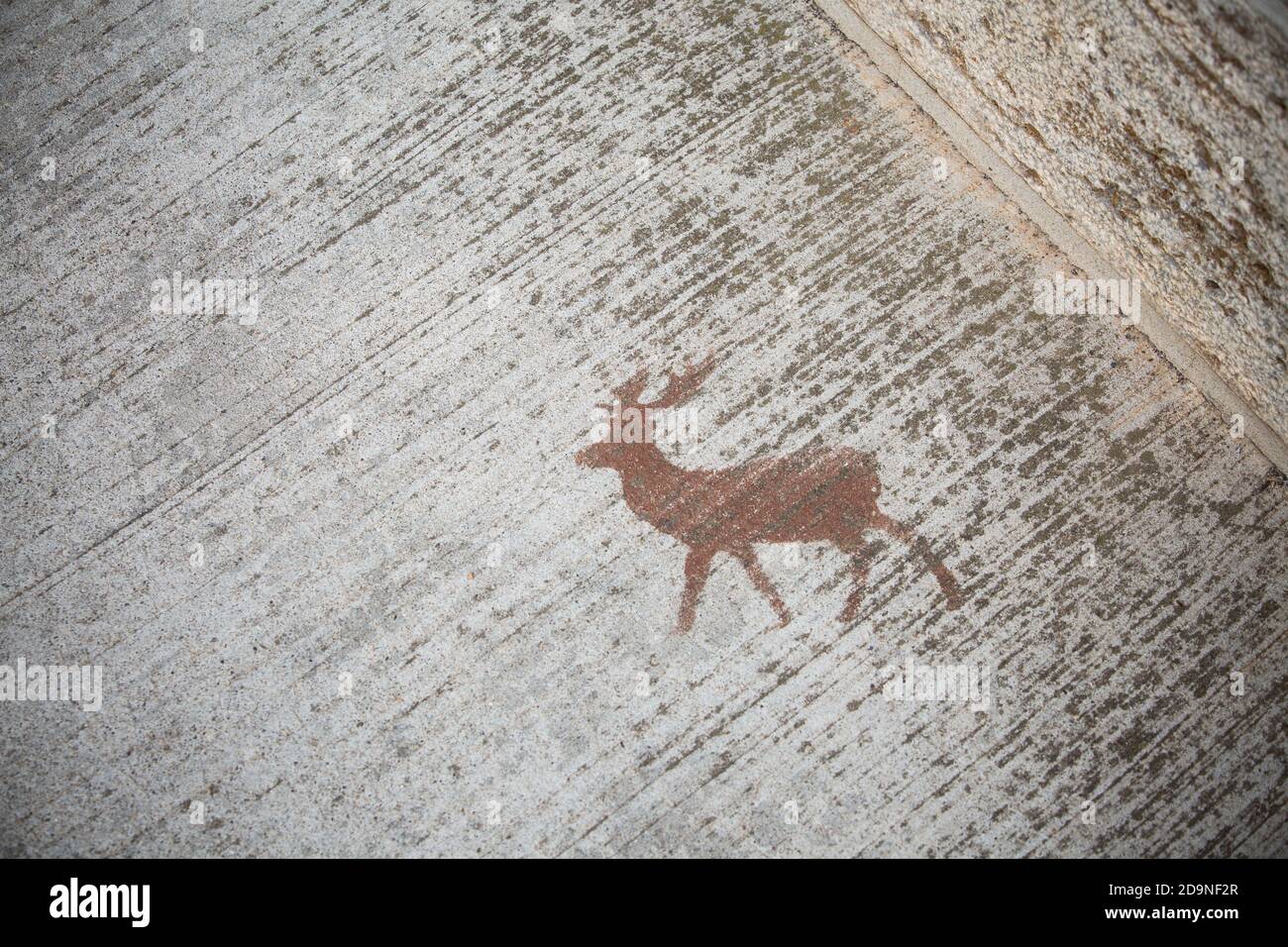 Deer graffiti on sidewalk Stock Photo
