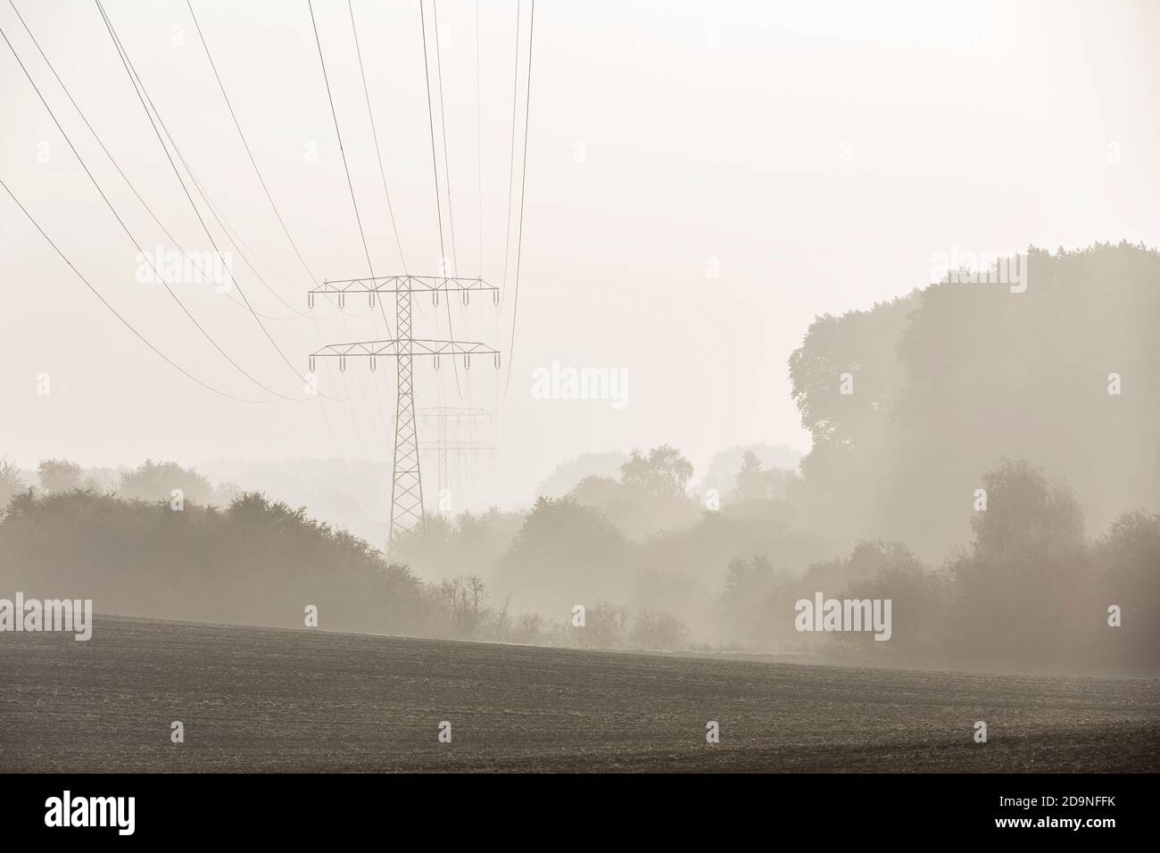 misty landscape in Mecklenburg-Western Pomerania Stock Photo