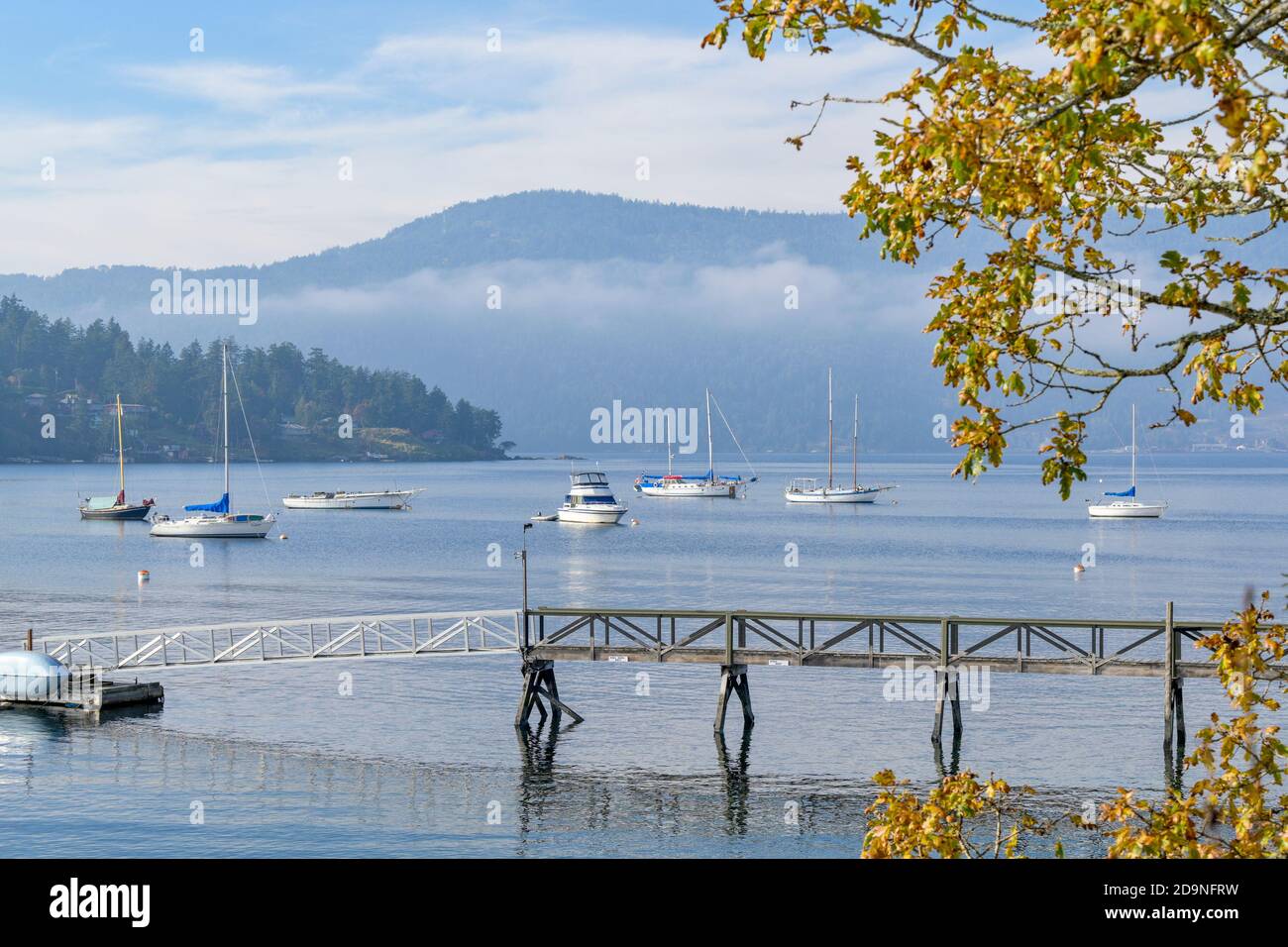 Boats Saanich Inlet, Brentwood Bay, Vancouver Island, British Columbia ...