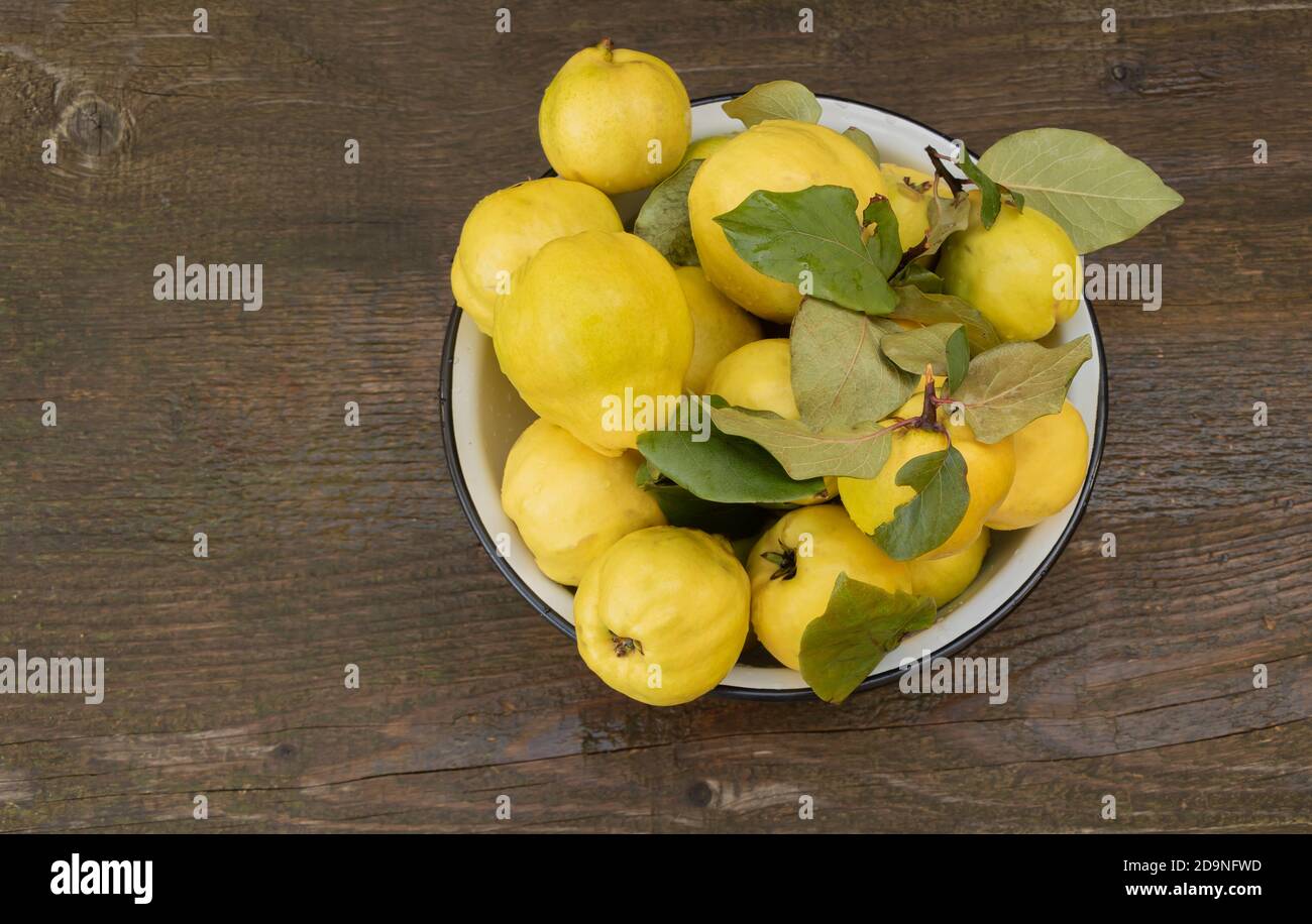 Fresh quince fruits on wooden background. Benefits of quinces Stock