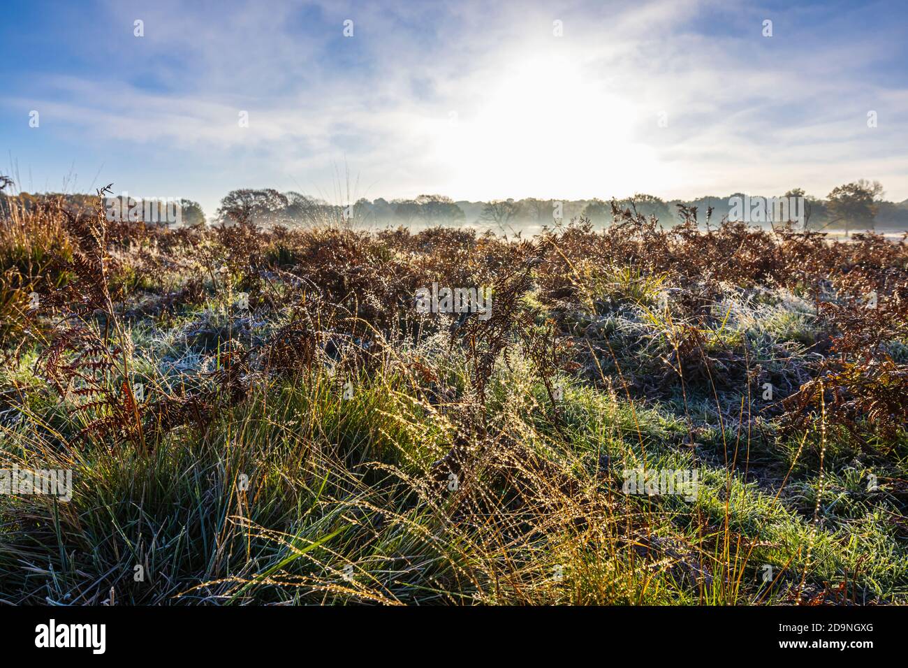 Countryside cold hi-res stock photography and images - Alamy
