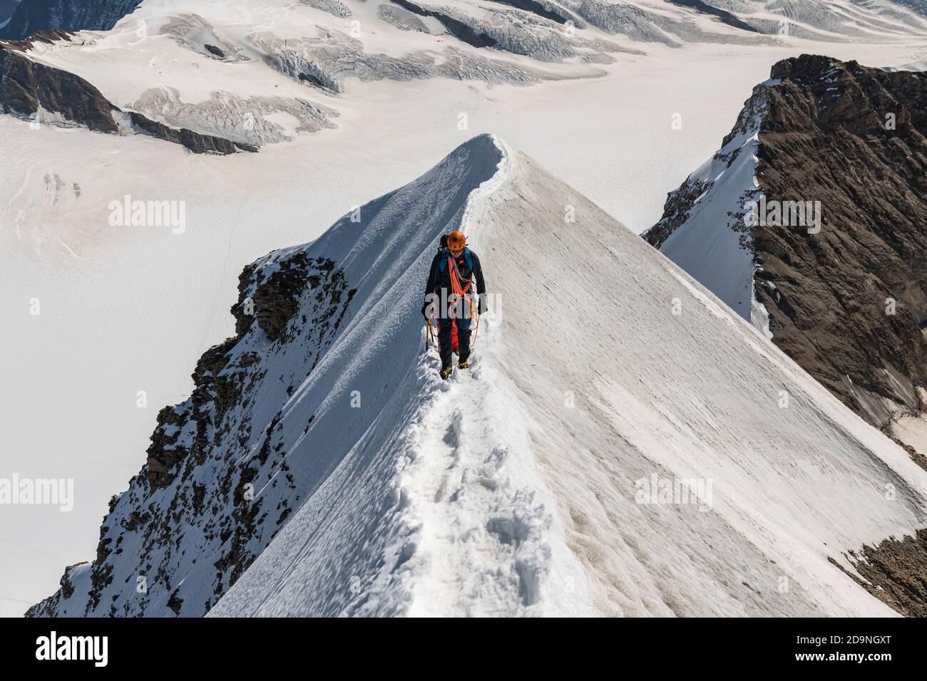 Switzerland, Canton of Bern, Bernese Oberland, mountaineers on the summit ridge when climbing to Mönch, in the background Ewigschneefäld Stock Photo