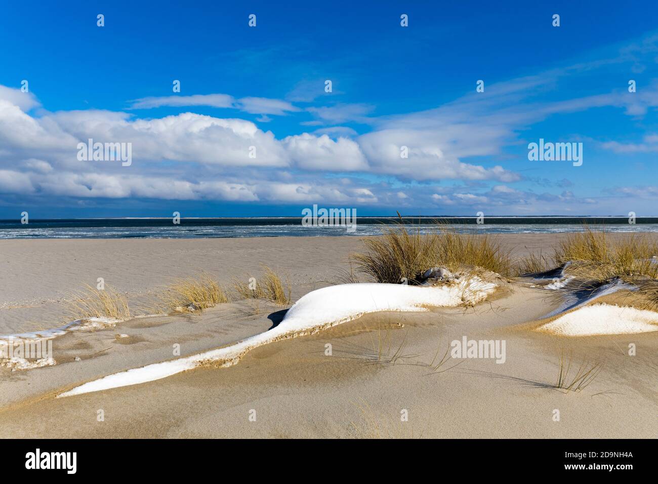 Winter landscape on the North Sea coast, Schleswig-Holstein, Deutschland Stock Photo