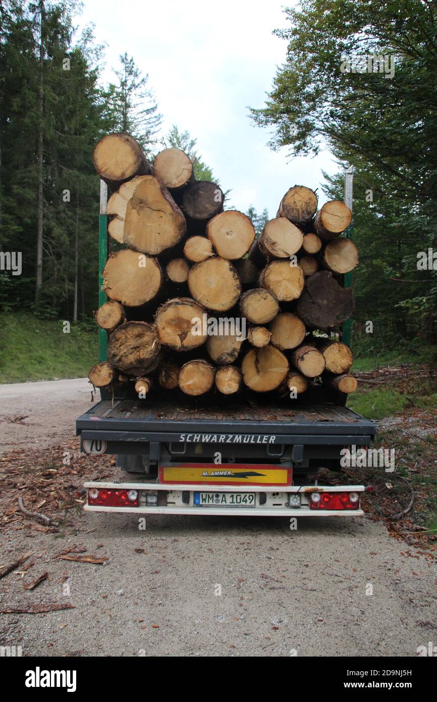 Germany, Bavaria, Upper Bavaria, Mittenwald, semi-trailer truck forest, wood storage, tree trunks, road, way Stock Photo