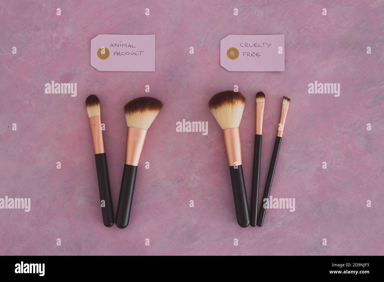cruelty free vs animal products concept, sets of make up brushes with