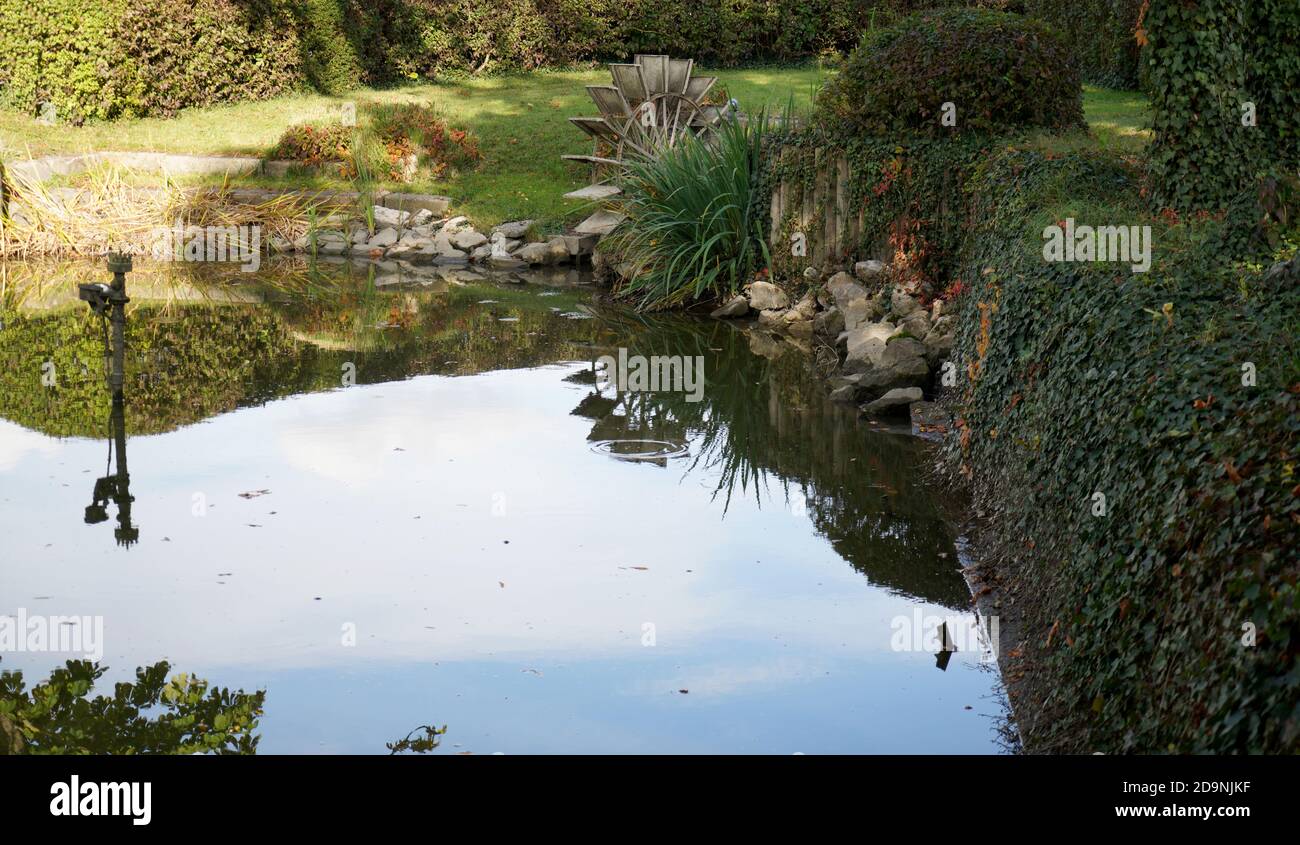 Reflection of blue sky and trees in the lake Stock Photo - Alamy