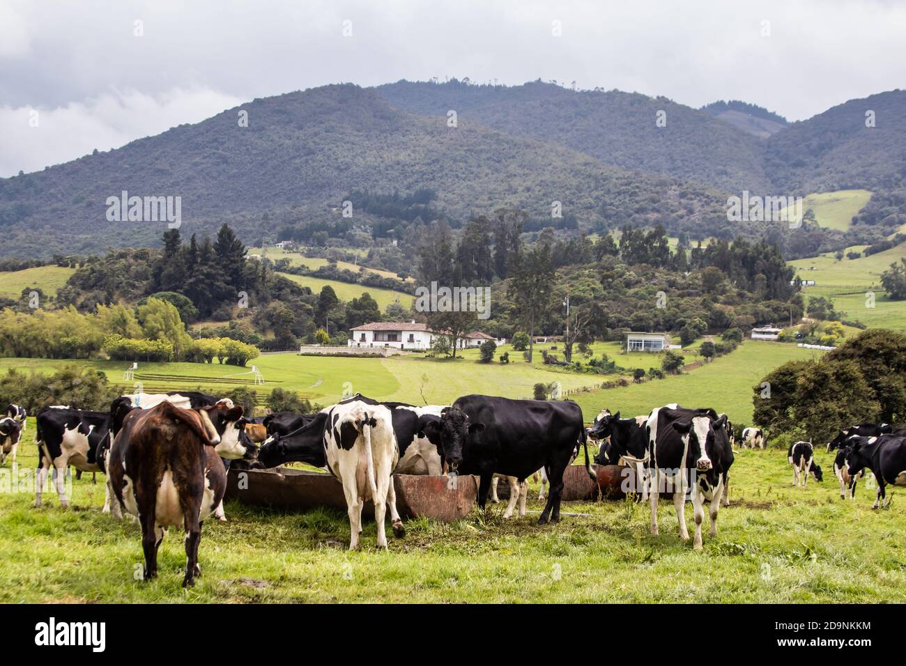 Calera farm hi-res stock photography and images - Alamy