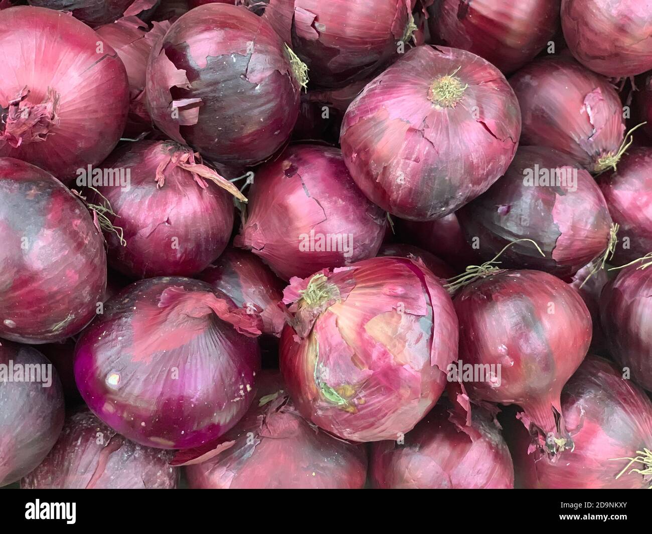 Many purple onions in bulk Stock Photo Alamy