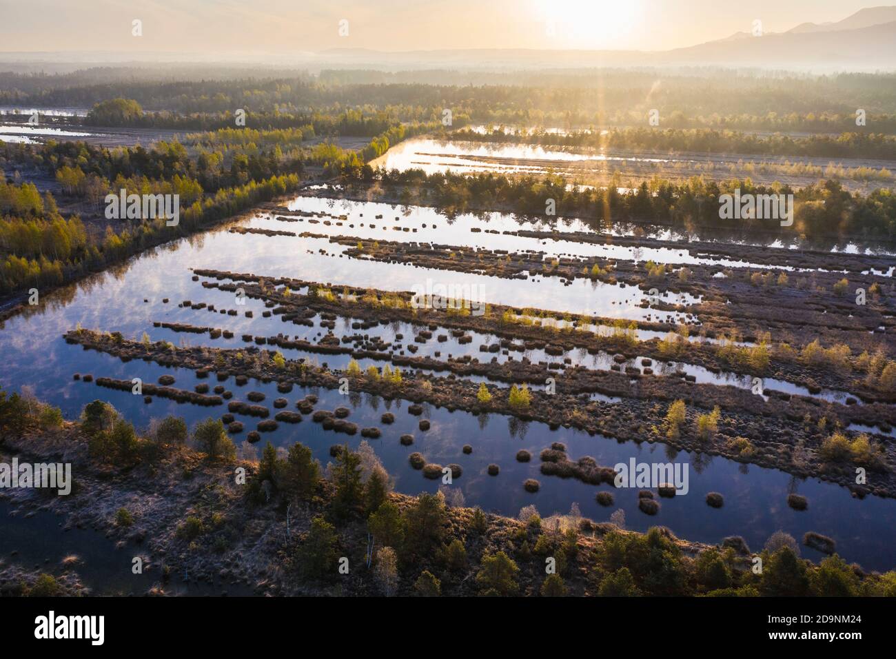 Wet peat extraction area, peatland renaturation between Raubling and Bad Feilnbach, Kollerfilze, aerial view, Upper Bavaria, Bavaria, Germany Stock Photo