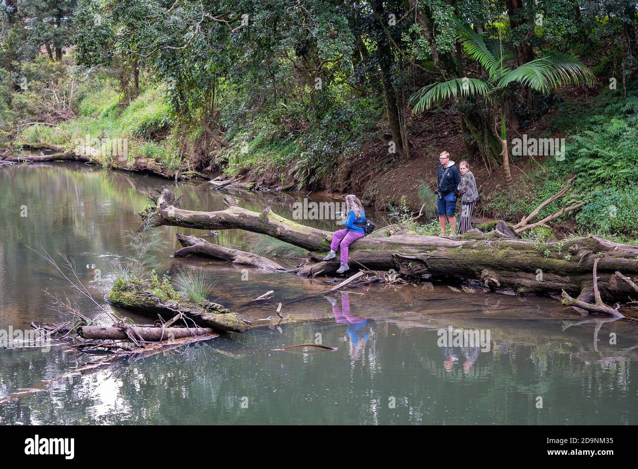 Mackay, Australia - August 25th 2019: A female photographer sitting on a log in Broken River at Eungella National Park waiting for platypus to appear, Stock Photo