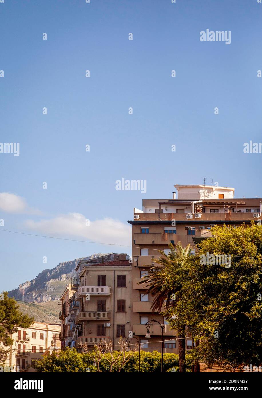 Residential houses in Palermo, house, palm tree, plants, Palermo