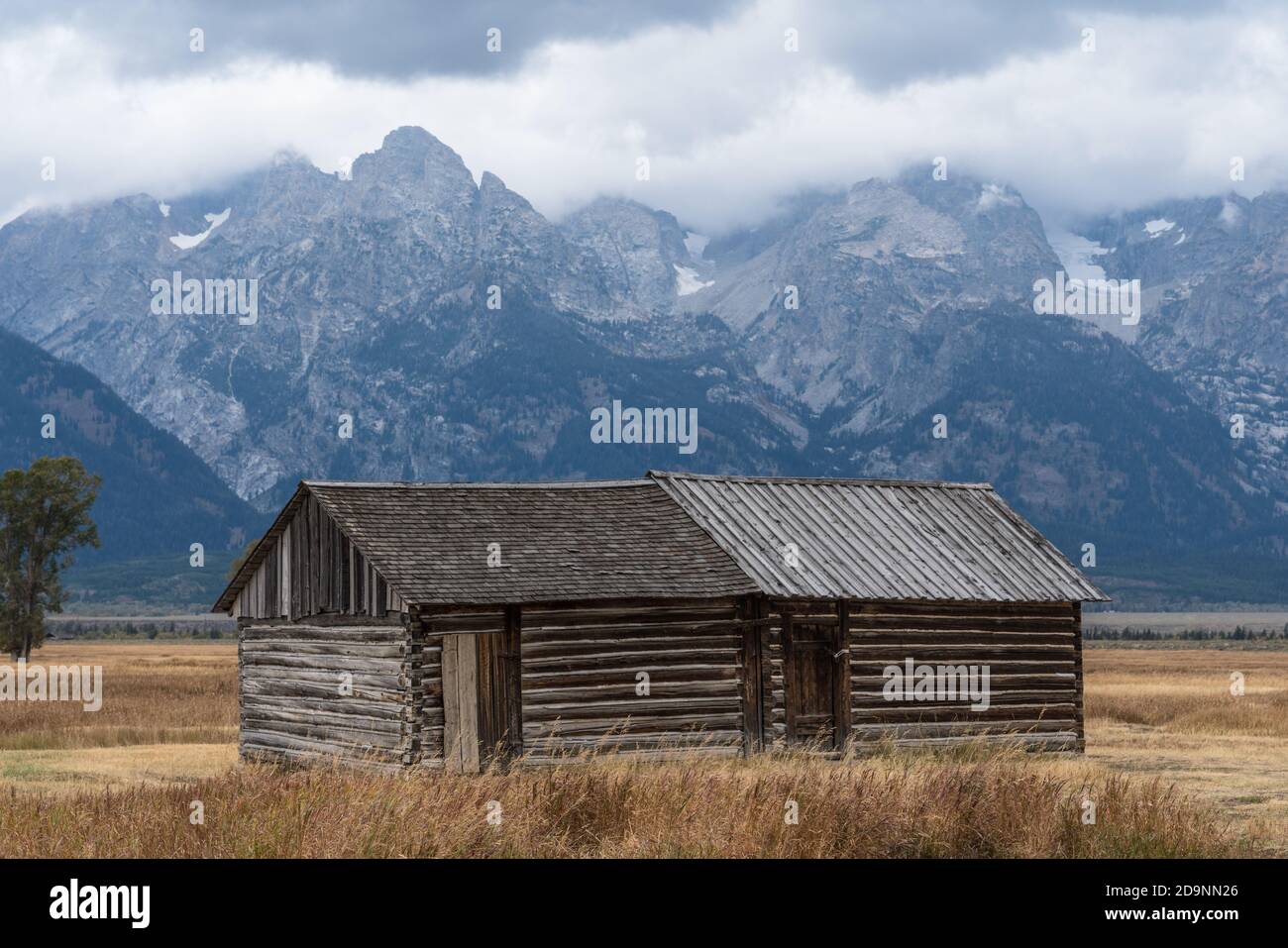 The old log granary on the John Moulton homestead on Mormon Row in Grand Teton National Park with the Tetons behind.  Wyoming, USA. Stock Photo