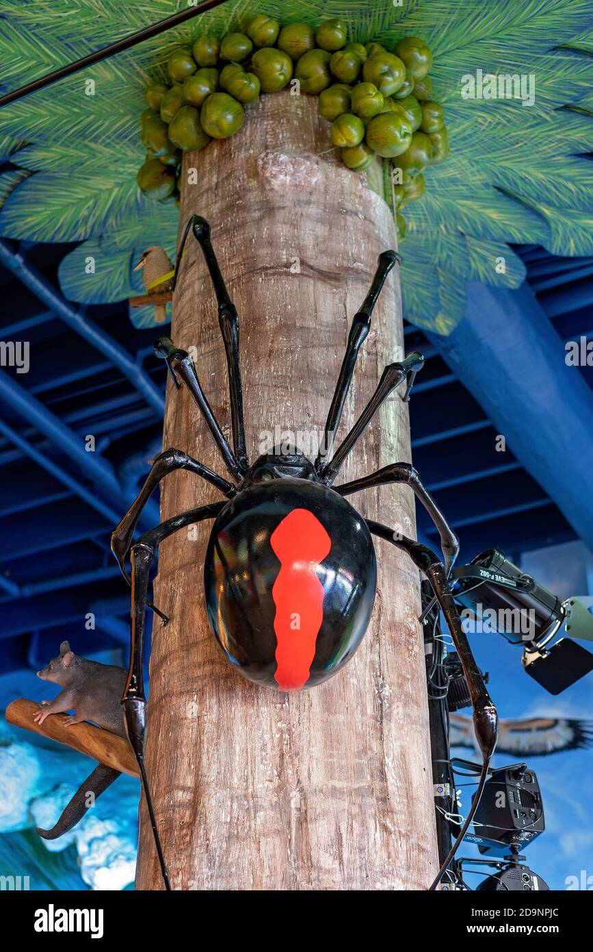 Coconut spider hires stock photography and images Alamy