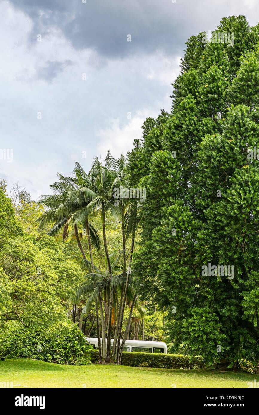 Rum distillery le saint aubin hires stock photography and images Alamy
