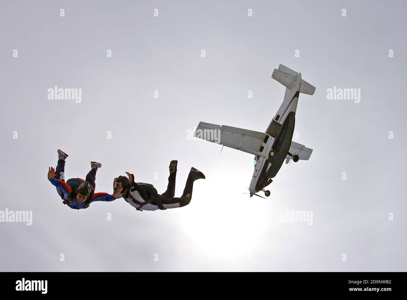 Skydivers jumping from the plane Stock Photo Alamy