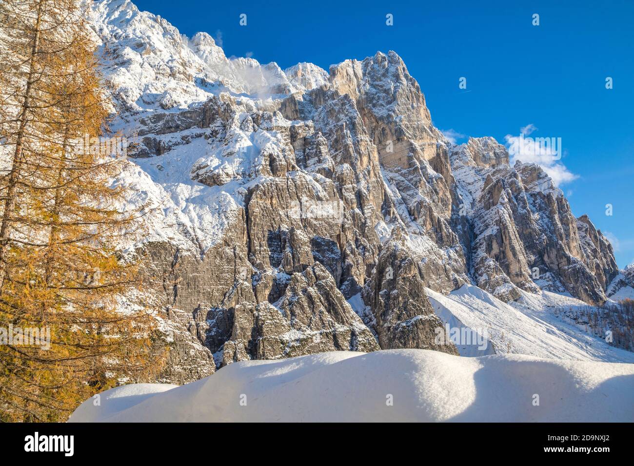 the wall of mountain Moiazza as seen from Corpassa valley, Civetta group, Agordino, Dolomites, Belluno, Veneto, Italy, Europe Stock Photo