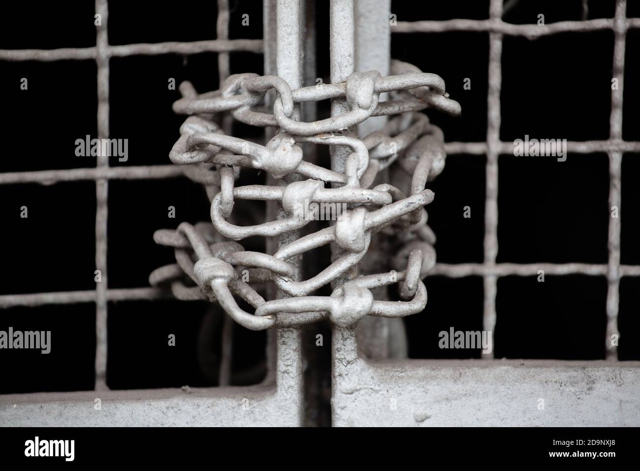 A steel chain wrapped around the metal gate Stock Photo Alamy