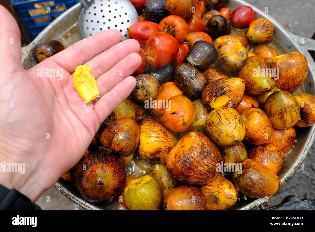 Costa Rica Arenal Volcano and La Fortunaa - Cooked Peach palm fruit - Bactris gasipaes - Pejibaye Stock Photo
