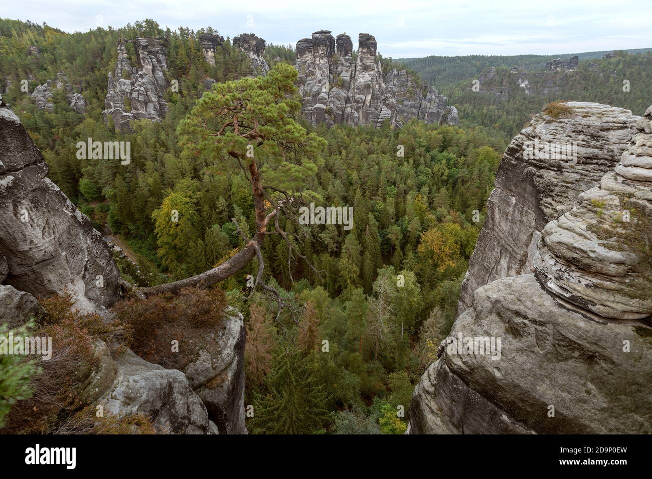 Germany, Saxony, Elbe Sandstone Mountains, Pölking-Kiefer, Saxon Switzerland National Park Stock Photo