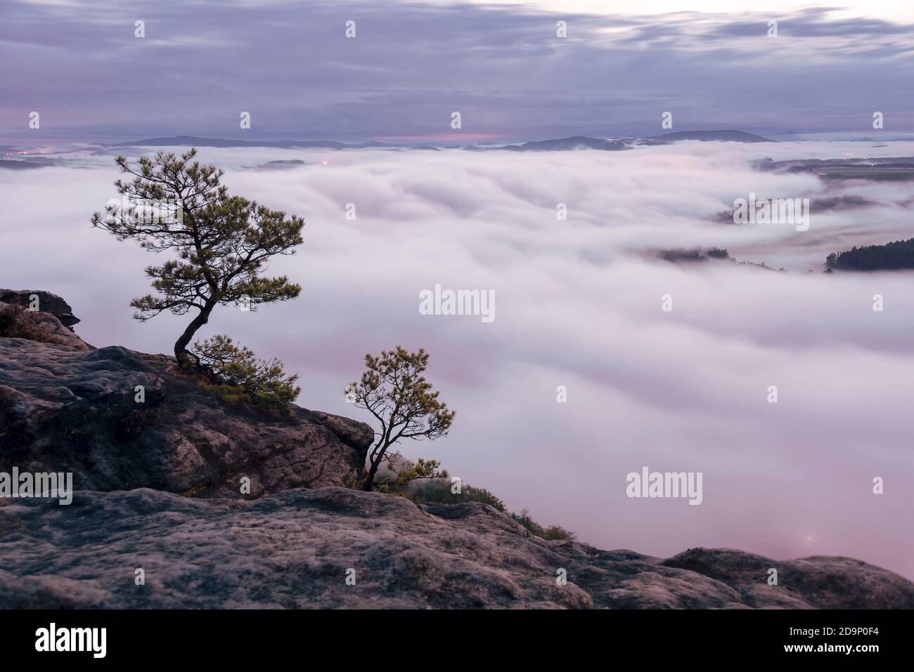 Germany, Saxony, view from Lilienstein, thick clouds of fog pull over the Elbe Sandstone Mountains shortly before sunrise. Stock Photo