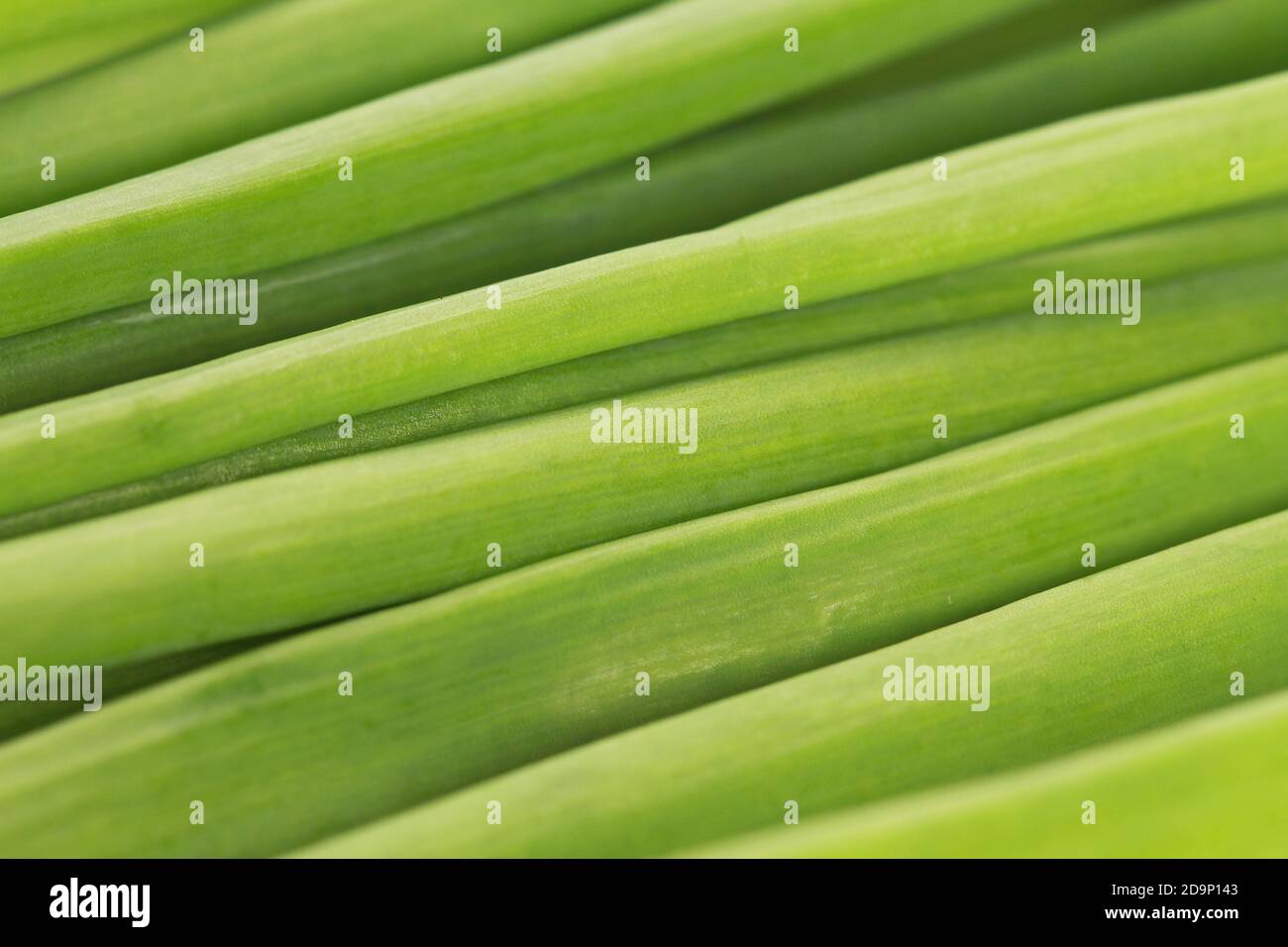 Minimalistic texture hi-res stock photography and images - Alamy