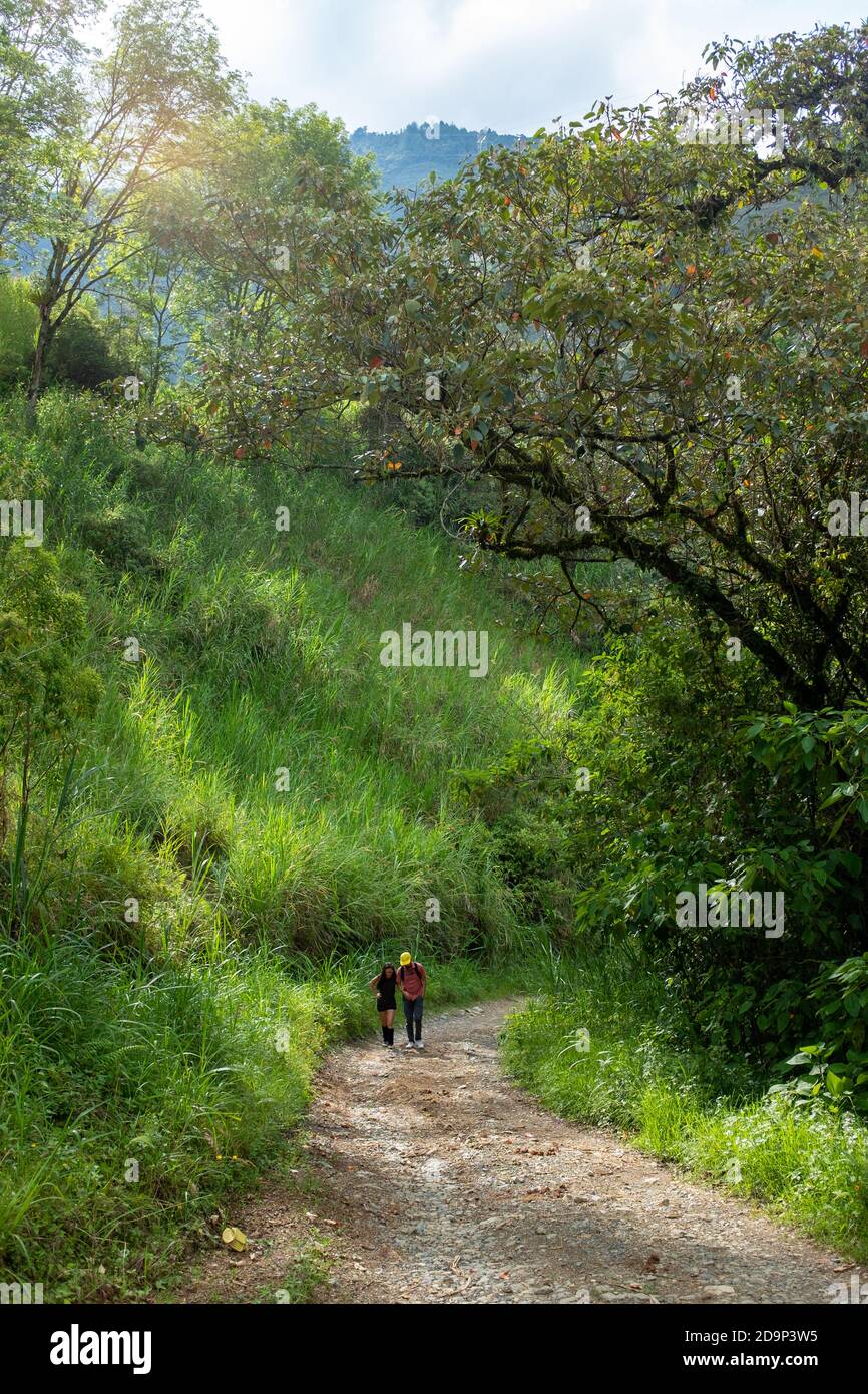 ENVIGADO, COLOMBIA - Nov 05, 2020: Envigado, Antioquia / Colombia - November 22 2019: Couple Walking in the Forest Trail Filled with Trees and Flowers Stock Photo