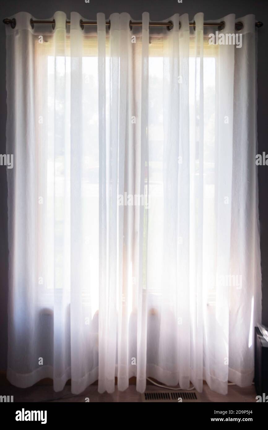 White semi-sheer curtains hanging  from a decorative curtain rod on tall double windows. Stock Photo