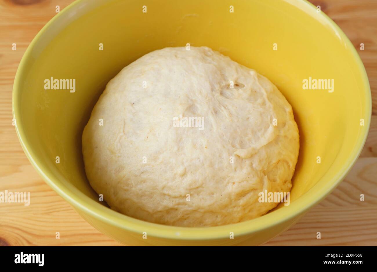 Kneaded dough has risen in the mixing bowl after the rise time Stock