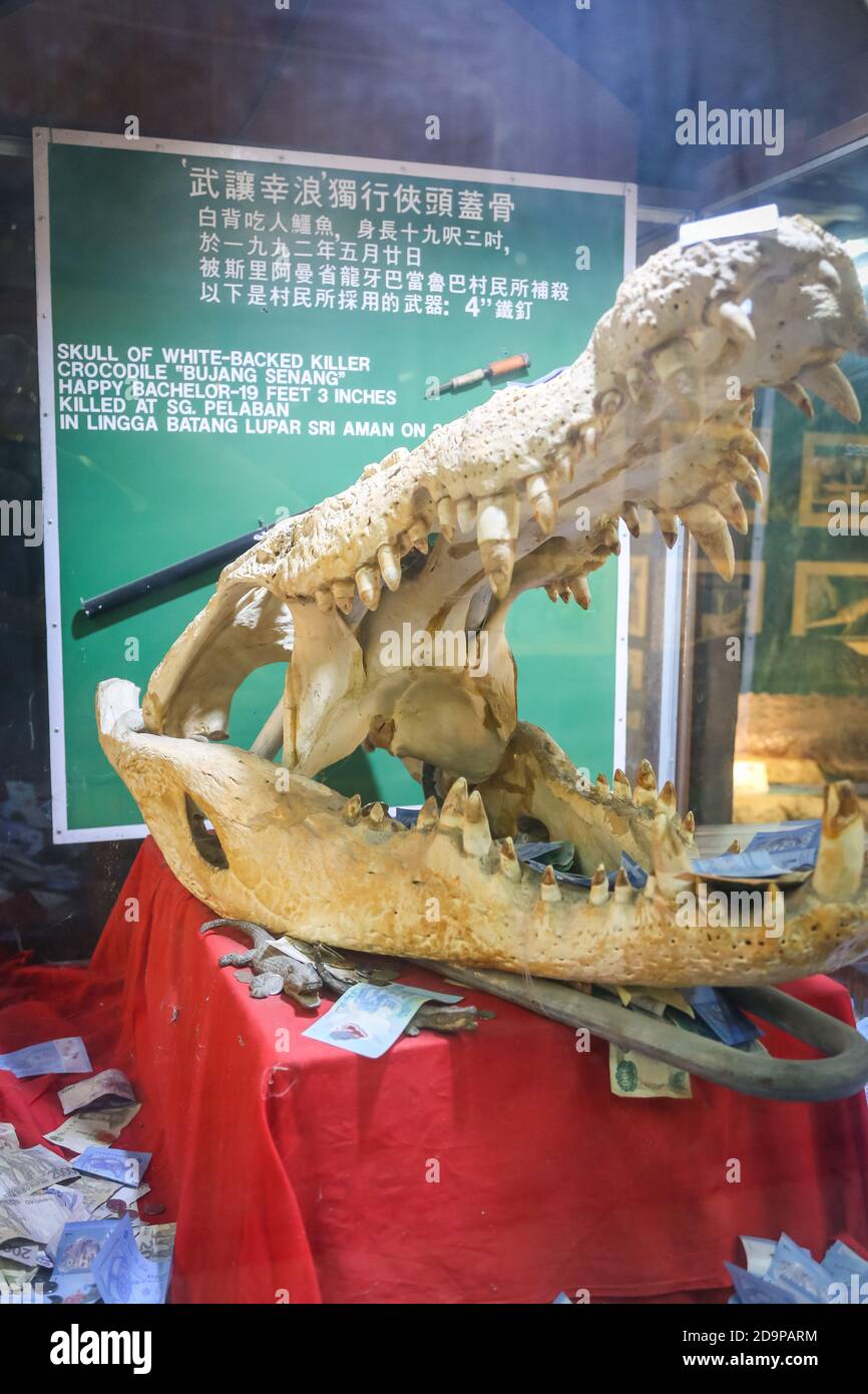 Bujang High Resolution Stock Photography And Images Alamy