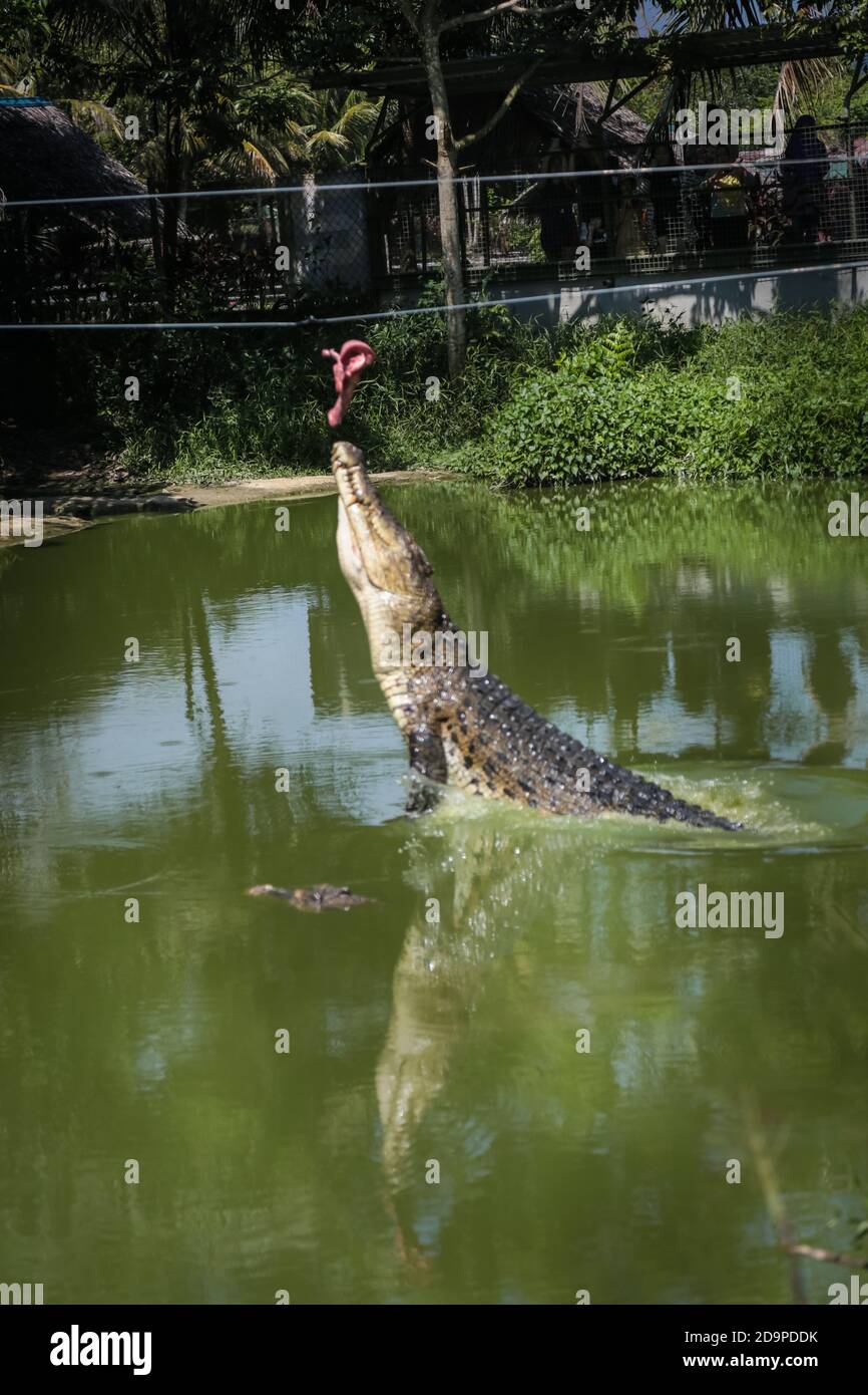 taman buaya jong